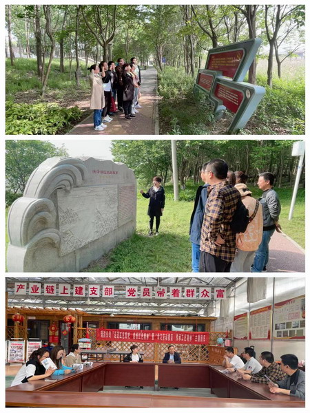 德彩网集团各级团组织开展学党史主题团日活动